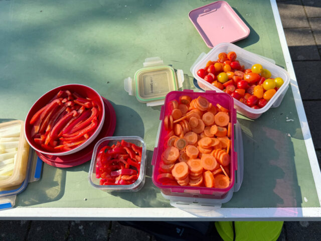 fruehlingsfest-picknick-kita-kuratie-vhh