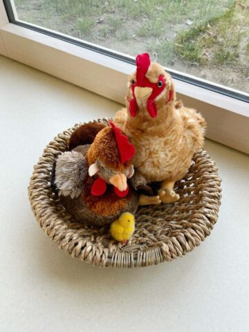 henne-marienne-kita-kuratie-vhh